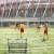 Soccer wave, rebounder, ścianka do odbijania